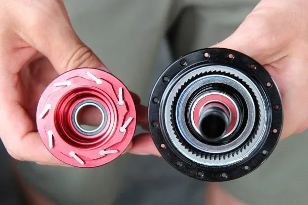 freehub pawls and ratchet ring